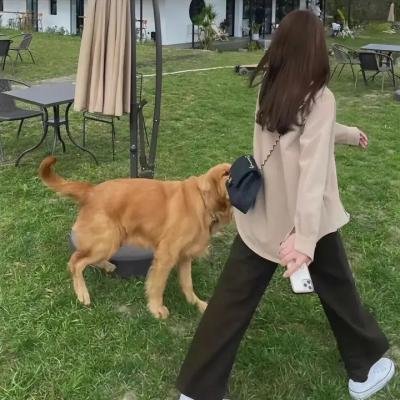 正麦肯齐金总理秘史♂